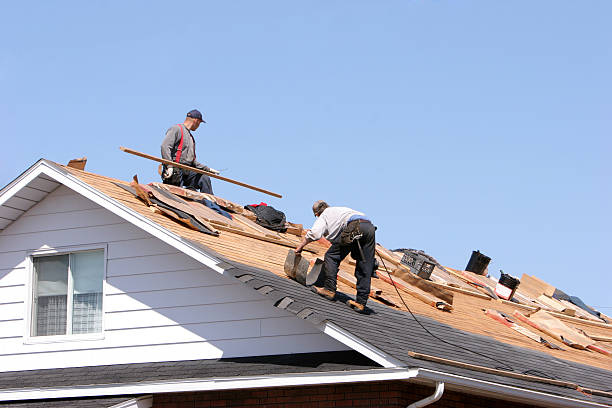 Best Commercial Roofing Services  in Laupahoehoe, HI