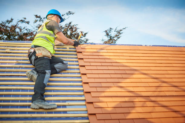 Best Skylight Installation and Repair  in Laupahoehoe, HI